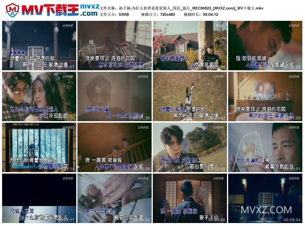 孙子涵-为什么你背着我爱别人_国语_流行_MEC00523